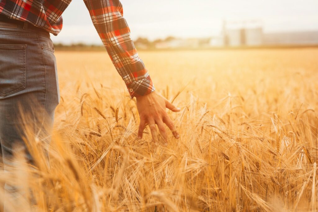 farm