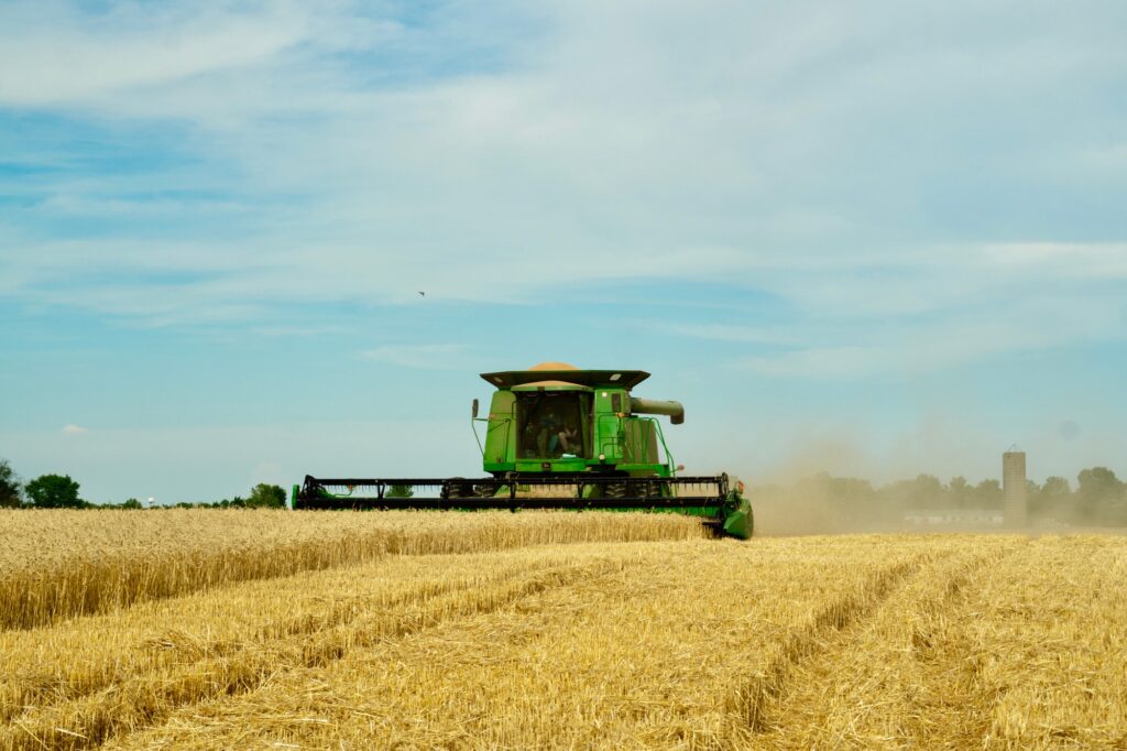 Combine harvesting wheat